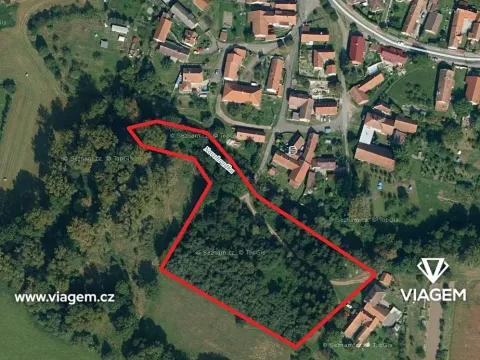 Prodej podílu lesa, Chroustovice, 542 m2