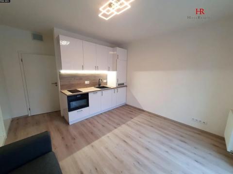 Pronájem bytu 1+kk, Tuchoměřice, V Kněžívce, 22 m2