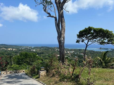 Prodej pozemku, French Harbour, Roatán, Honduras, 2428 m2