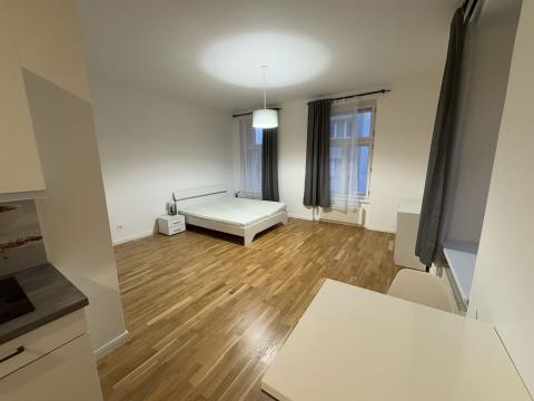 Prodej bytu 1+kk, Praha - Nové Město, Petrská, 46 m2