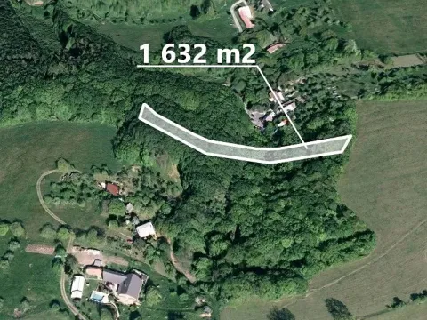 Prodej lesa, Březůvky, 1632 m2