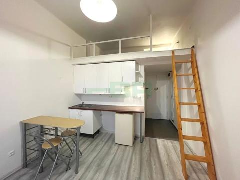 Pronájem bytu 1+kk, Praha - Žižkov, Přemyslovská, 20 m2