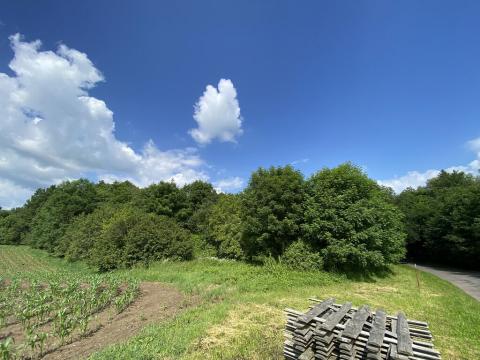 Prodej pozemku, Miřetice - Švihov, 1831 m2