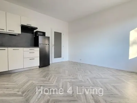 Pronájem bytu 1+kk, Brno, Cejl, 26 m2