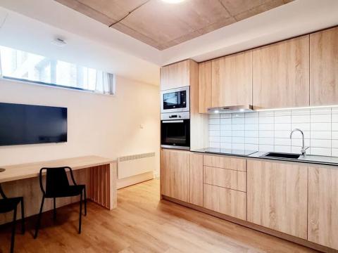 Pronájem bytu 1+kk, Brno, V rejích, 26 m2