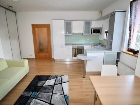 Pronájem bytu 1+kk, Praha - Košíře, Pod Klamovkou, 44 m2