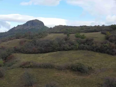 Dražba louky, Hrobčice, 30746 m2