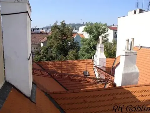 Pronájem bytu 4+kk, Praha - Nové Město, Spálená, 200 m2