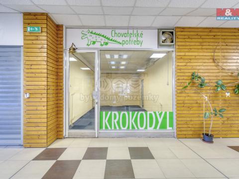 Pronájem obchodního prostoru, Třemošná, Plzeňská, 35 m2