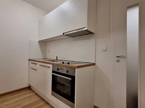 Pronájem bytu 2+1, Praha - Bubeneč, U zeměpisného ústavu, 46 m2