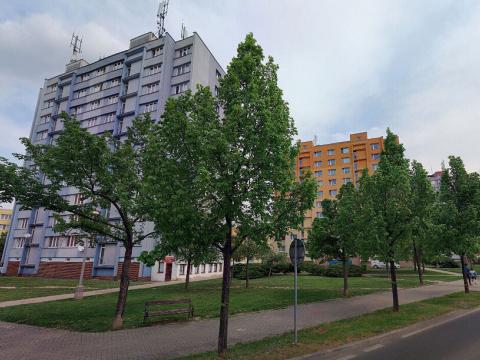 Prodej bytu 2+1, Roudnice nad Labem, Alej 17. listopadu, 60 m2