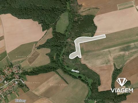 Prodej podílu pole, Šípy, 1022 m2
