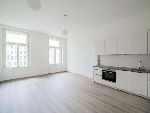 Pronájem bytu 2+kk, Praha - Nové Město, Václavské náměstí, 51 m2