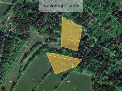 Prodej lesa, Vysoké nad Jizerou - Helkovice, 9892 m2