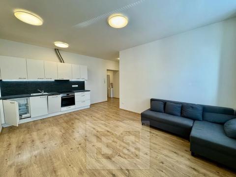 Pronájem bytu 2+kk, Brno, Stavební, 60 m2