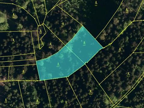 Prodej podílu lesa, Valašská Polanka, 1343 m2