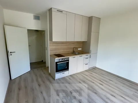 Pronájem bytu 1+kk, Tuchoměřice, V Kněžívce, 22 m2