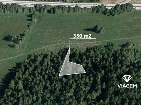 Prodej lesa, Herálec, 350 m2