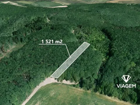 Prodej podílu lesa, Bořetice, 507 m2