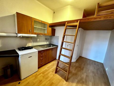 Pronájem bytu 1+kk, Praha - Břevnov, Bělohorská, 13 m2