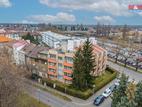 Prodej bytu 3+1, Poděbrady - Poděbrady II, Alešova, 88 m2