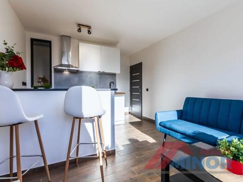 Pronájem bytu 3+kk, Slaný, Vikova, 42 m2