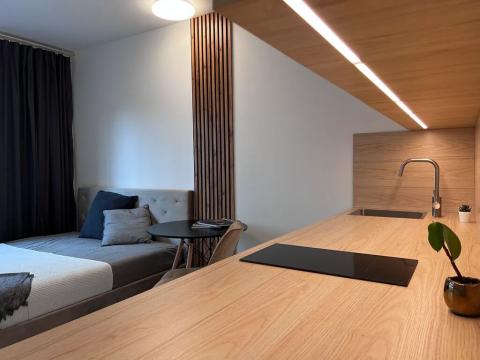 Pronájem bytu 1+kk, Brno, Cejl, 26 m2