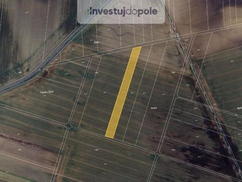 Prodej pole, Záříčí, 1570 m2