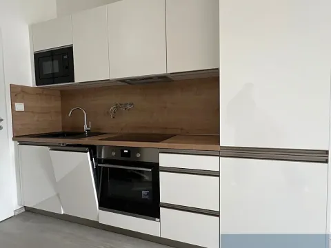 Prodej bytu 1+kk, Lomnice, Dlouhá, 30 m2