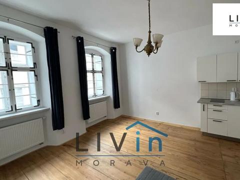 Pronájem bytu 1+kk, Olomouc, Žerotínovo nám., 30 m2