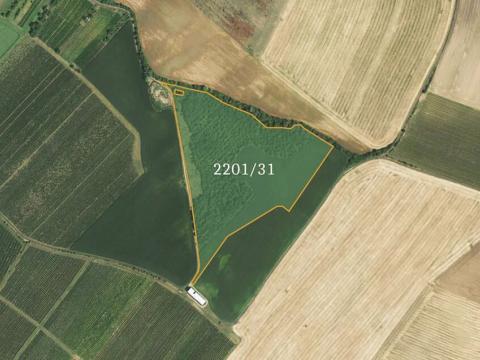 Prodej pole, Bořetice, 71982 m2