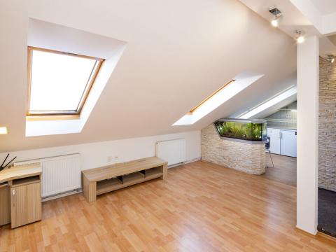 Pronájem bytu 2+kk, Opava - Předměstí, Mánesova, 48 m2