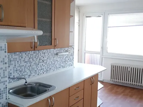 Pronájem bytu 1+1, Nový Jičín, Dlouhá, 48 m2