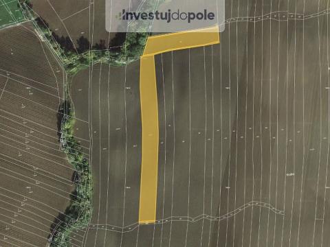 Prodej pole, Mutějovice, 2150 m2