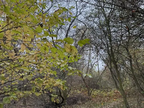 Prodej pozemku, Praha - Nové Město, 9174 m2