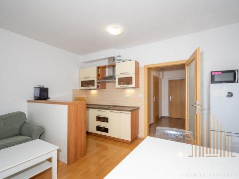 Pronájem bytu 1+kk, Praha - Krč, Panuškova, 44 m2