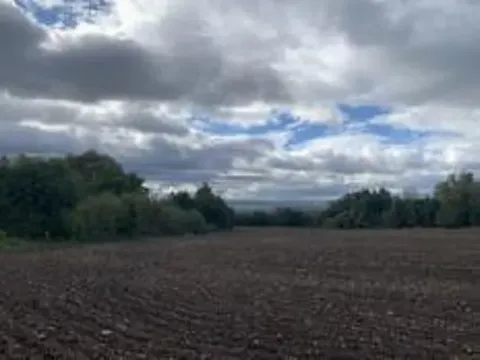 Dražba pole, Staňkovice, 1500 m2