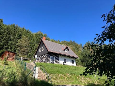 Pronájem - jiné, Vidochov, 90 m2