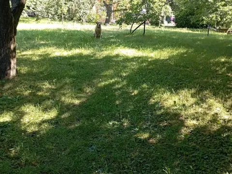 Prodej chaty, Brandýsek, 15 m2