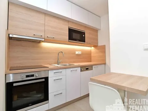 Pronájem bytu 1+kk, Praha - Vinohrady, Řipská, 24 m2