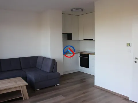 Pronájem bytu 2+kk, Olomouc, Lazecká, 53 m2