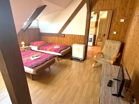 Pronájem bytu 1+1, Plzeň, Klostermannova, 50 m2
