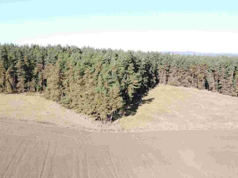 Prodej pozemku, Tisová - Kumpolec, 4563 m2
