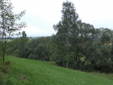 Prodej pole, Heřmánkovice, 5268 m2