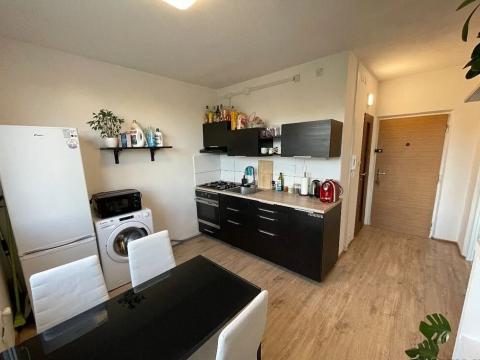 Pronájem bytu 1+1, Plzeň, Kralovická, 38 m2