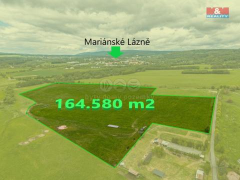 Prodej pole, Mariánské Lázně - Stanoviště, 164580 m2