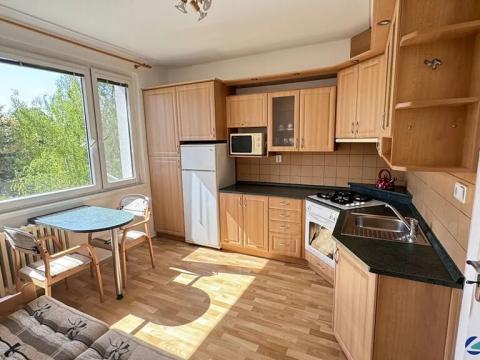 Pronájem bytu 1+1, Česká Třebová, 35 m2