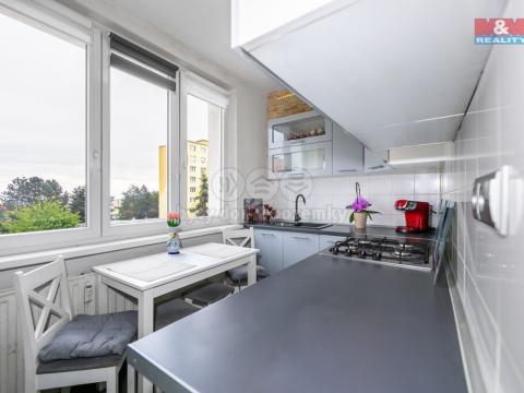 Prodej bytu 2+1, Chomutov, Skalková, 51 m2