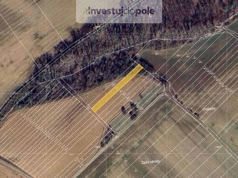 Prodej louky, Horní Moštěnice, 878 m2