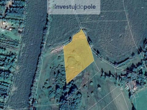 Prodej louky, Nový Rychnov - Sázava, 7780 m2
